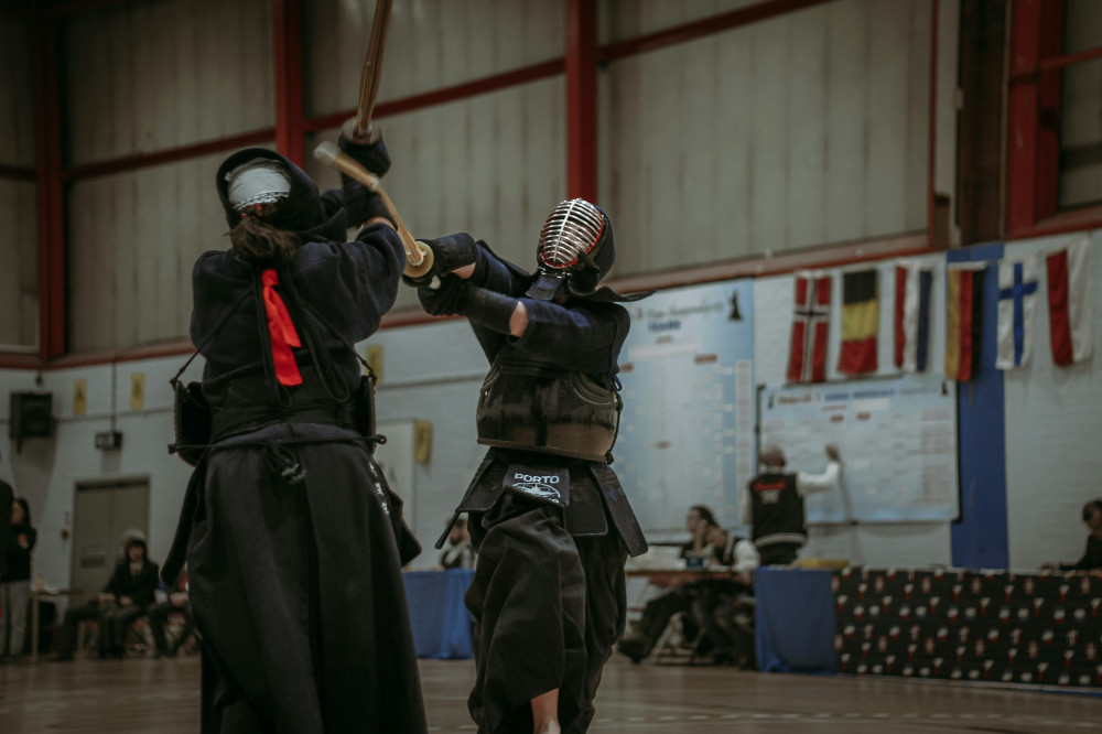 Top 10 Uventede Fakta Om Nordic Fighter, Du Skal Vide!
